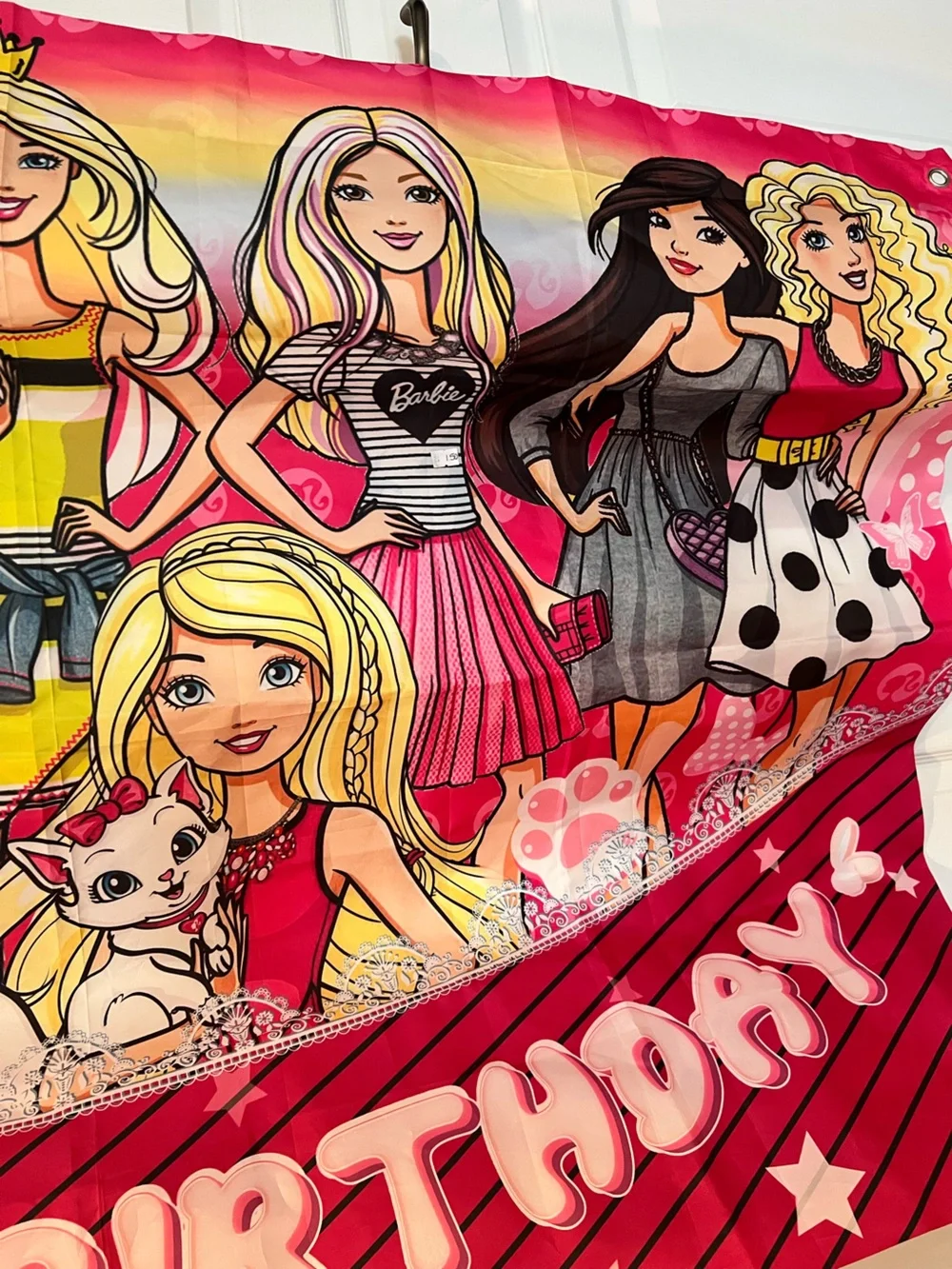 Barbie Pink Multicolor Happy Birthday Party Backdrop